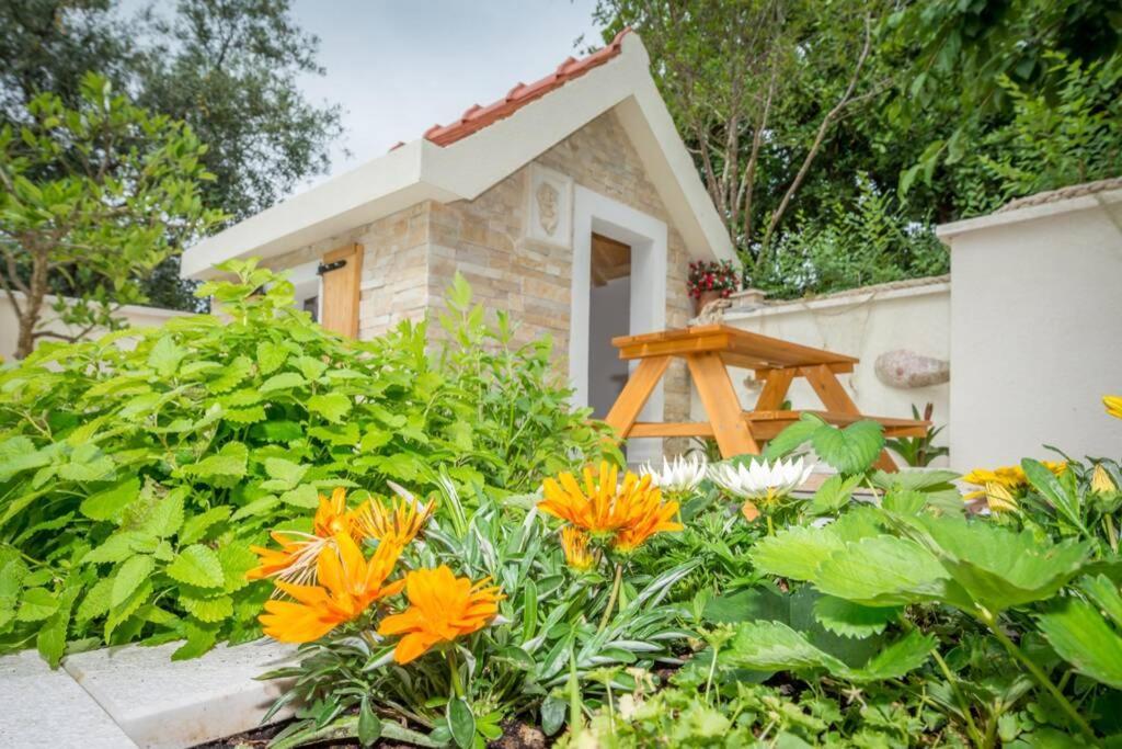 Villa Lipovac 特罗吉尔 外观 照片